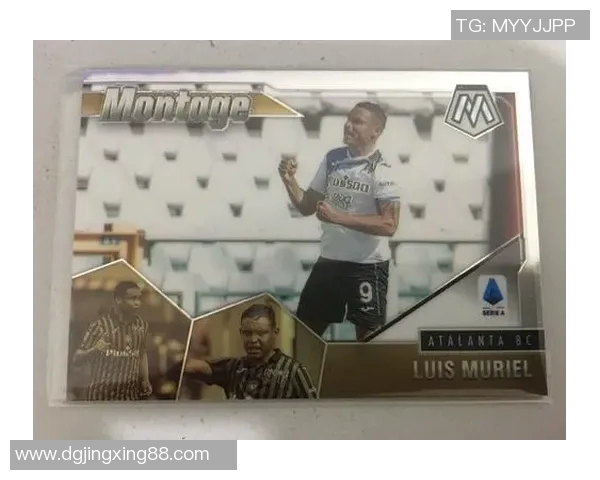 足球明星卡等级排名解析揭示顶级球员的真实实力与价值